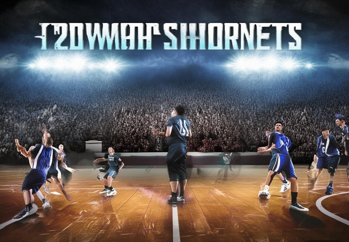 2017NBA雷霆黄蜂巅峰对决：战术智慧与团队协作解析